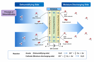 Dehumidification Membrane