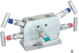 5-Valve Manifold